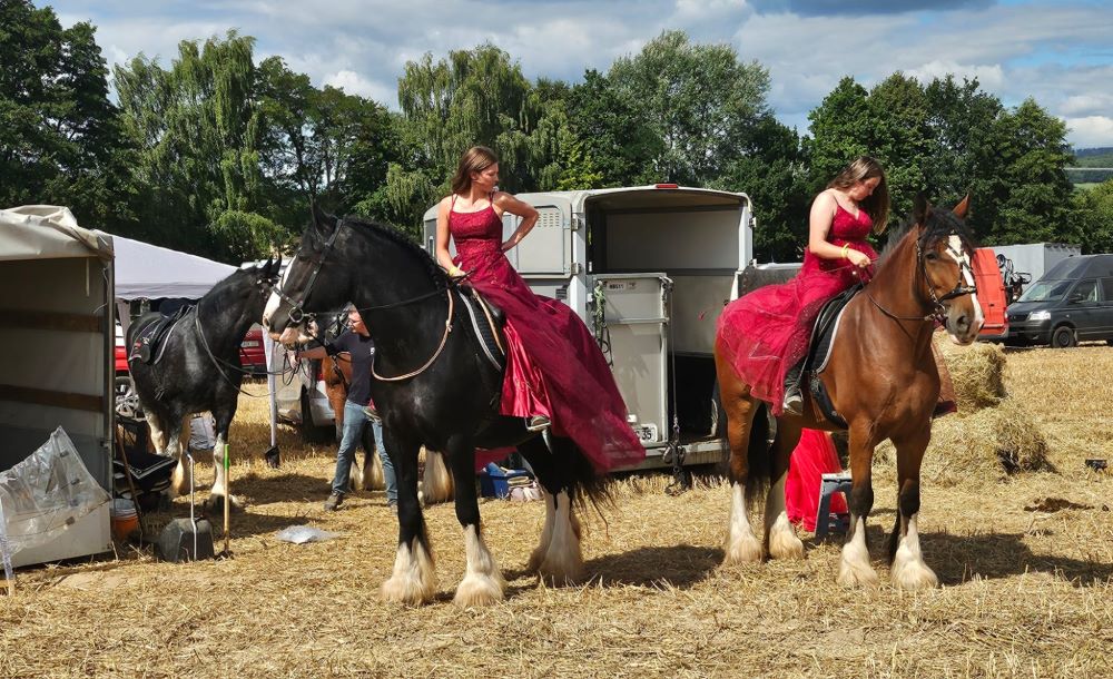 PferdeStark Shire Horse